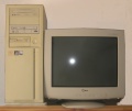 Pentium 300